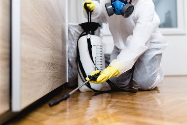 Best Cockroach Control Services  in Lakeport, CA