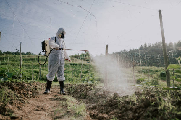 Best Affordable Pest Control Services  in Lakeport, CA