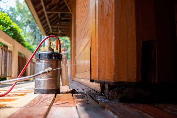 Best Pest Inspection Near Me  in Lakeport, CA